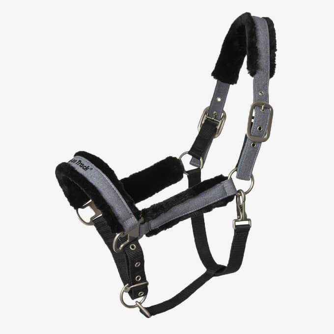 Licol BACK ON TRACK "Haze Collection"