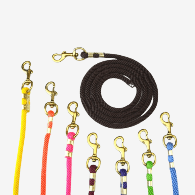 Longe Polystick avec mousqueton en laiton