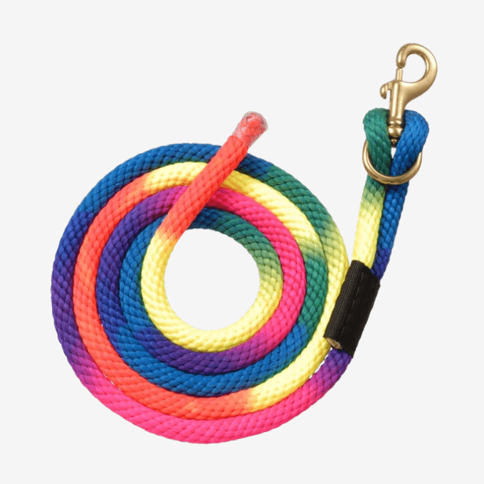 Longe arc-en-ciel polystick