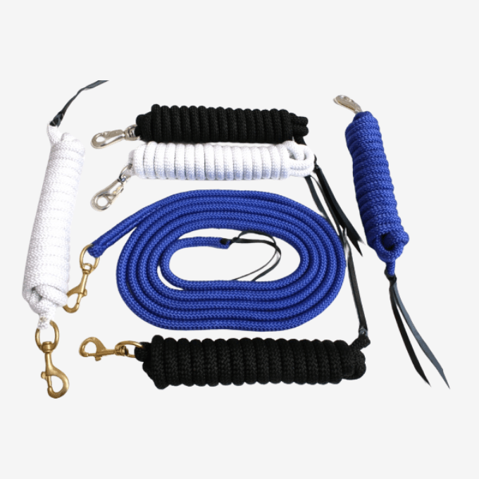 Longe de travail éthologique