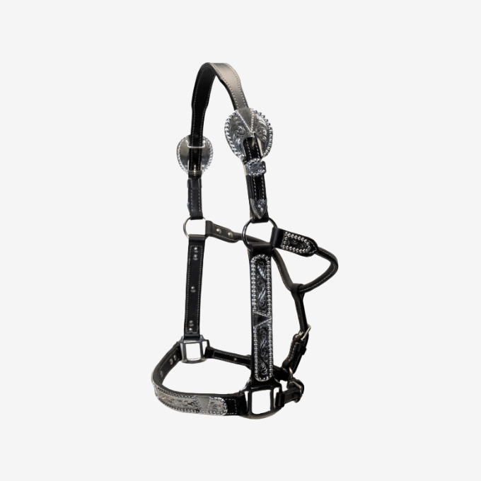 Licol de Show EE Tack Silver Black