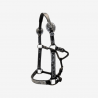 Licol de Show EE Tack Silver Black