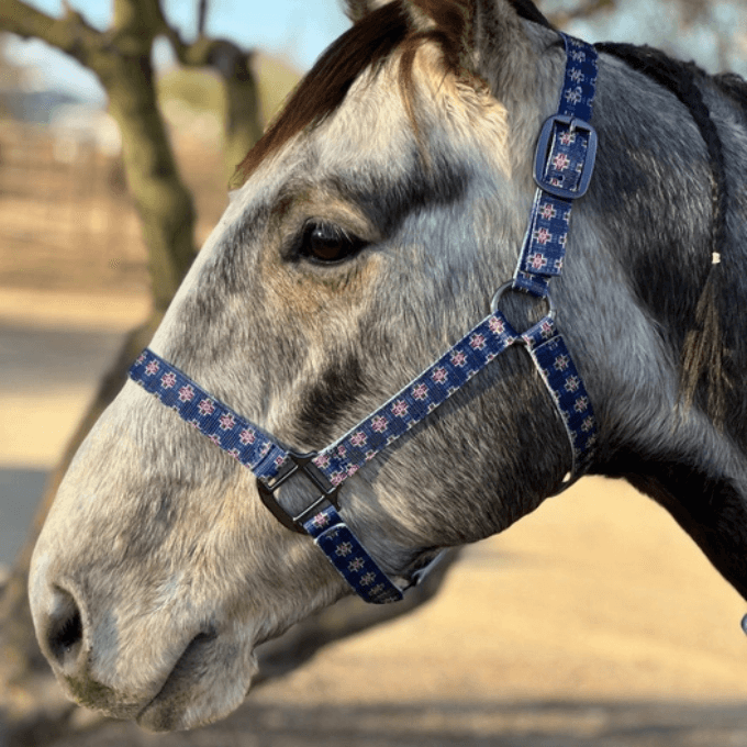 Licol en nylon Schulz Equine