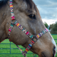 Licol en nylon Schulz Equine