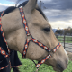 Licol en nylon Schulz Equine