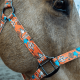 Licol en nylon Schulz Equine