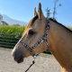 Licol en nylon Schulz Equine