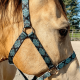 Licol en nylon Schulz Equine
