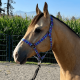 Licol en nylon Schulz Equine