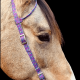 Bride une oreille en nylon Schulz Equine