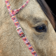 Bride une oreille en nylon Schulz Equine