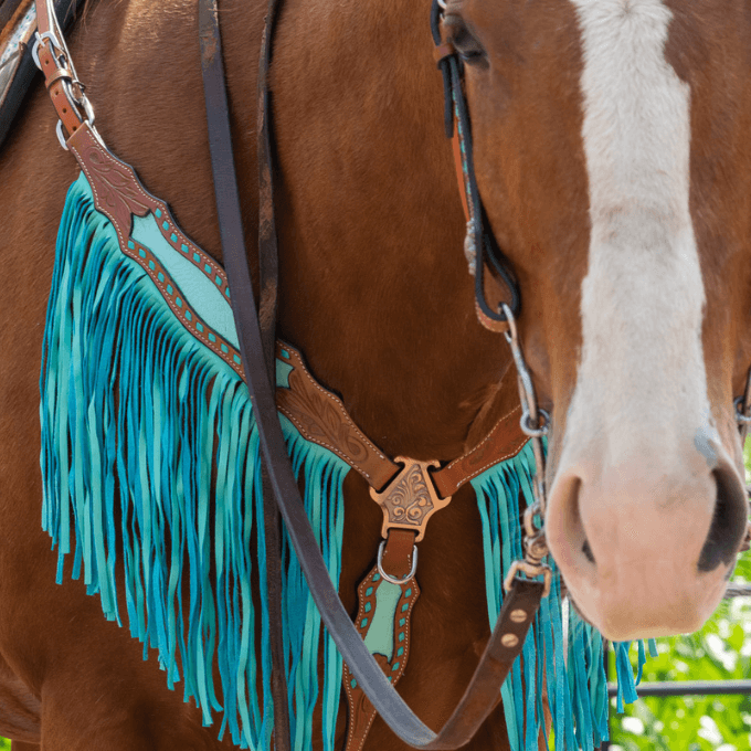 Ensemble Bride et Collier de chasse Bonanza Schulz Equine