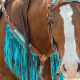 Ensemble Bride et Collier de chasse Bonanza Schulz Equine