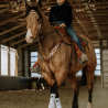 Ensemble Bride et Collier de chasse Doc Holiday Schulz Equine