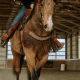 Tripping Collar Wild Child Schulz Equine