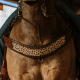 Tripping Collar Wild Child Schulz Equine
