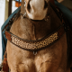 Tripping Collar Wild Child Schulz Equine
