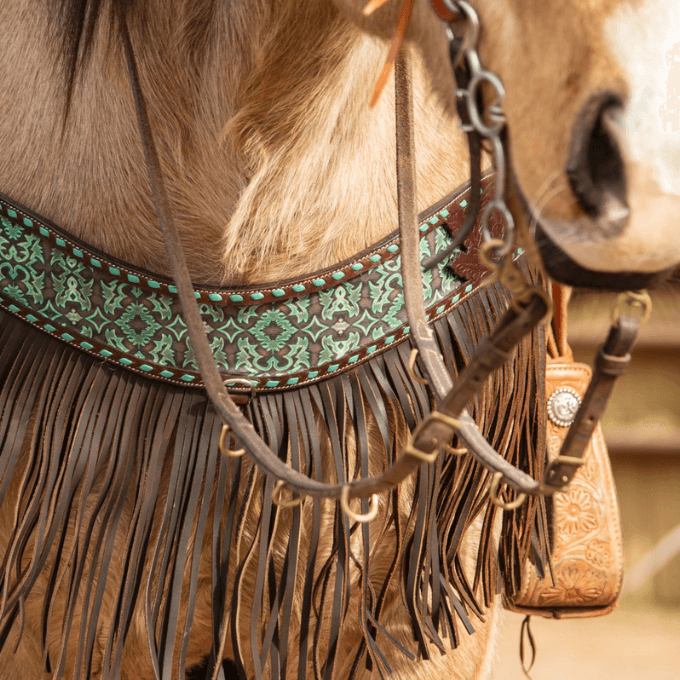 Tripping Collar Dalton avec franges Schulz Equine