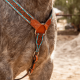 Ensemble Bride et Collier de chasse tooling leopard Schulz Equine