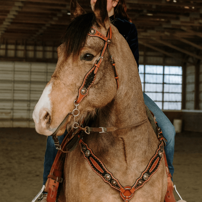 Ensemble Bride et Collier de chasse Jesse James Schulz Equine