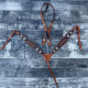 Ensemble Bride et Collier de chasse Jesse James Schulz Equine