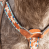 Ensemble Bride et Collier de chasse tooling Tournesol Schulz Equine