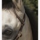 Bridon "1 oreille" Westride by Franck Perret