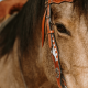 Ensemble Bride et Collier de chasse à franges Ponderosa Schulz Equine