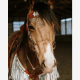Ensemble Bride et Collier de chasse à franges Ponderosa Schulz Equine