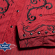 Chemise Homme Mason Stars&Stripes