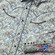 Chemise Homme Ace Stars&Stripes