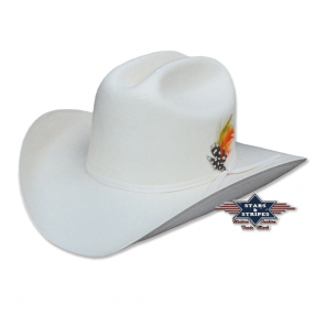 Chapeau western en paille Arizona Stars&Stripes