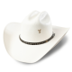 Chapeau western Cutter Stars&Stripes x Yellowstone
