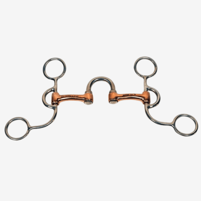 Mors Western D.H. Correction – Shanks courts