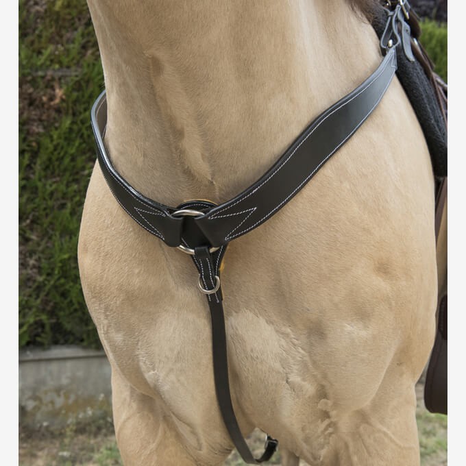 Collier de chasse Randol's surpiqué